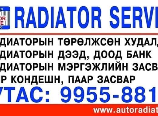 Darkhan Auto radiator service